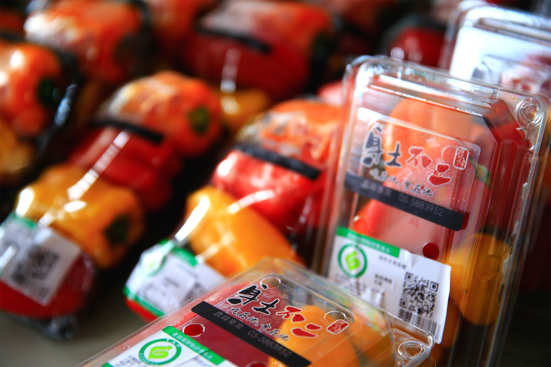 「吃在地‧食當令」